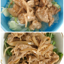 【試してみた】野菜も一緒に採れる★オイマヨの柔らか豚丼