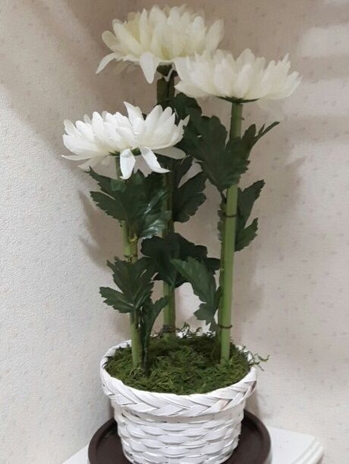 100均の菊の造花を立派な菊の鉢植えにしてみました。
