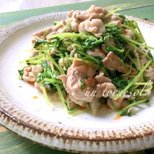 忙しい時に栄養満点☆新陳代謝アップに‼豆苗と豚肉のネギ塩ダレ炒め