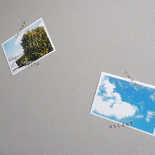 賃貸でもおしゃれに写真を飾りたい!マステ活用法