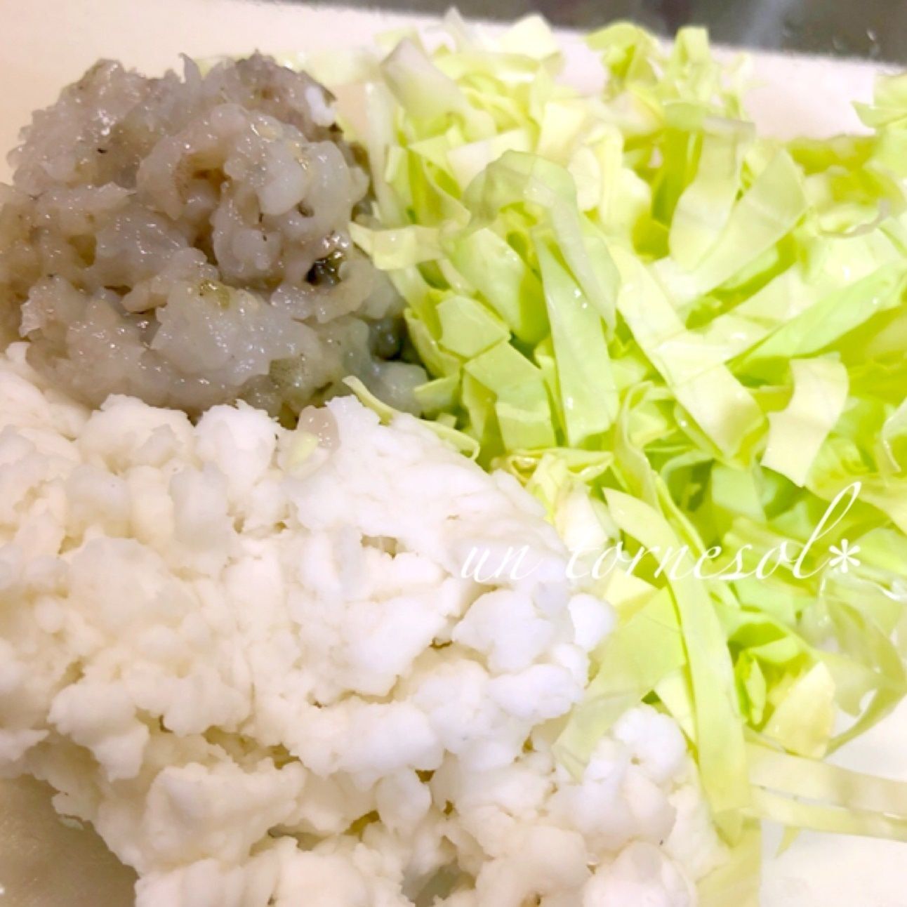 ②キャベツが折れても気にしないで!