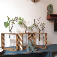 100均試験管で!グリーンをディスプレイ♪