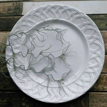 ★シンプル、だけどゴージャスな丸皿 made in Italy★