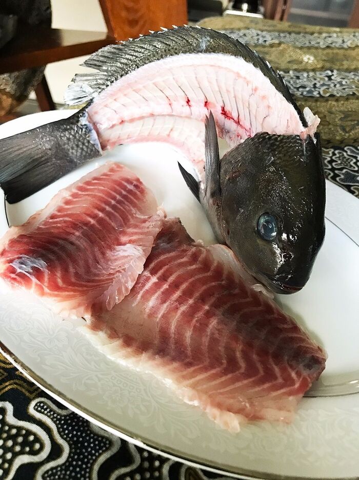 我が家の食育 鮮魚編02
