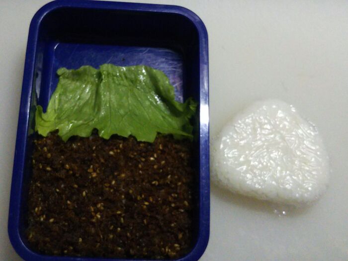 ①ご飯を敷き詰めおにぎりを作る