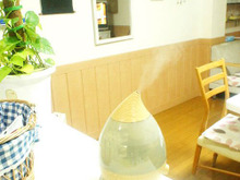 インテリアとしての存在感も抜群★ニトリ ミニ超音波加湿器