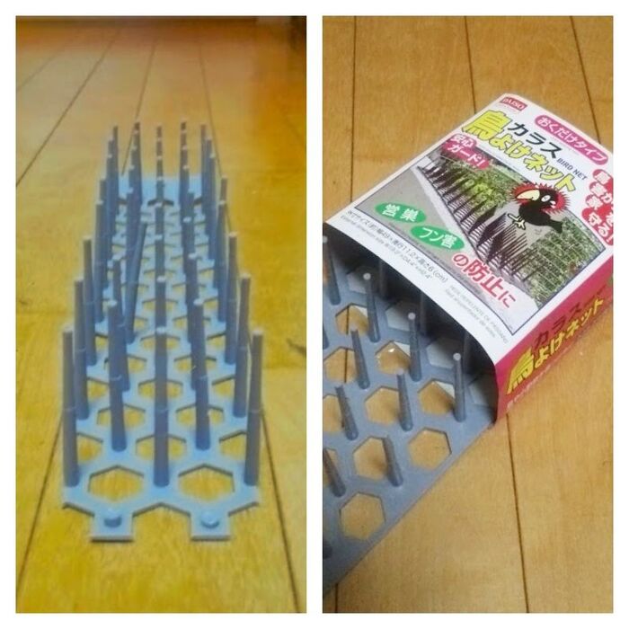 使ったトゲトゲは鳥よけネット