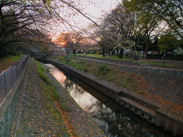 【教育・文化環境:5.0点】子育て環境も申し分なし。中央線特有の文化的な街でもある