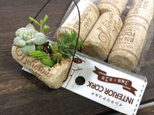 DIYの幅が広がる、コルク栓6個セット