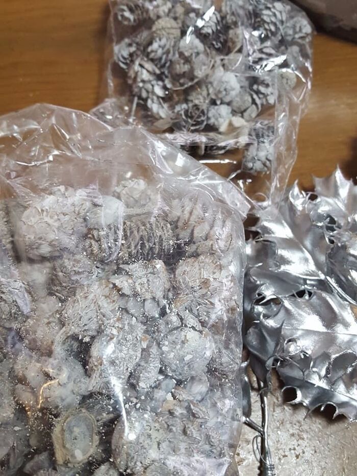 木の実のヒント