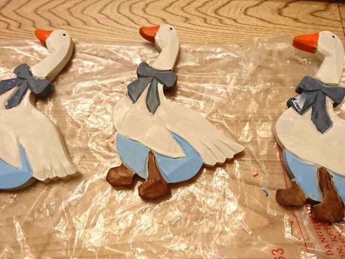 この子達はカラフルカラー