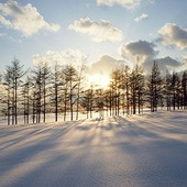 【12月の肌占い】お肌のタイプと血液型から占います!