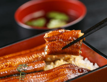 おいしいうなぎが食べたいなら、ふるさと納税を!