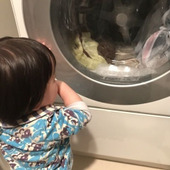 知っていると大助かり!洗濯機のドラム式によくあるトラブル解決法