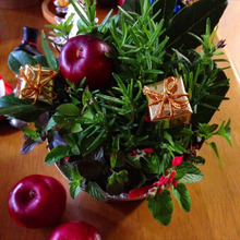 フレッシュハーブでクリスマスツリー♬