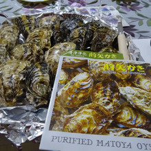 我が家のnoel、生牡蠣とチーズフォンデユーの巻