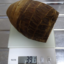 京いも と えび芋のハーフ