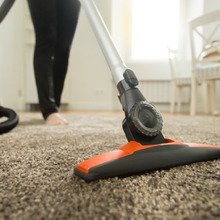 ペットを飼っているご家庭は必見!ペットに関するお悩みと掃除方法とは