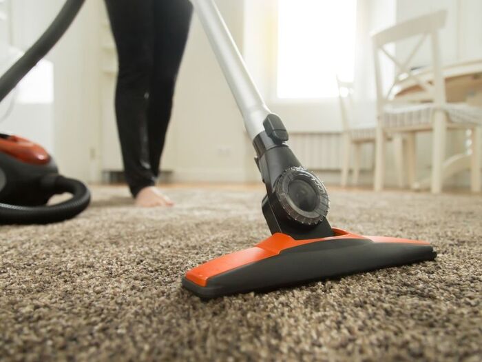 ペットを飼っているご家庭は必見!ペットに関するお悩みと掃除方法とは