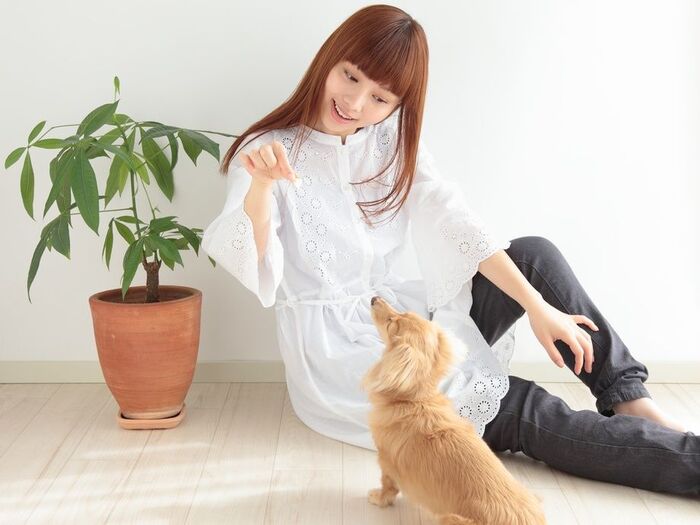 臭いを撃退する方法