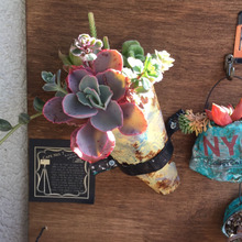 リメ缶!花束みたいな寄せ植えを作ろう!