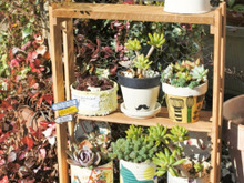 ネジ釘不要!100均材料deすのこラックをDIY