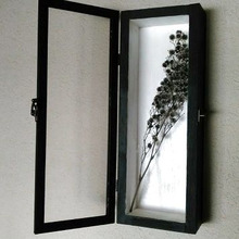 ★100均DIY★ディスプレイ標本箱を作ろう