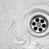 排水口の中だけじゃない!カビ対策のポイントとは?