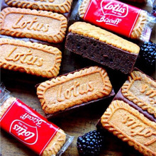 ♡しっとり濃厚♡ロータスブラウニー♡【#簡単#バレンタイン#チョコレート】