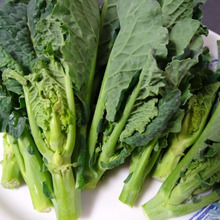 同じ故郷の野菜”アレッタ”