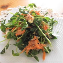 葉物野菜が高い時は、迷わずコレ♪安定価格の豆苗でツナポンチーズサラダ