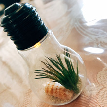 電球風LEDオーナメントに入れるだけ♬