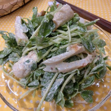 切って混ぜるだけ♪ 豆苗とちくわのカレーマヨサラダ