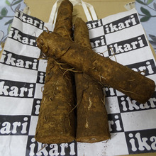 極太・・・・尋常じゃない、コスパも凄い!!