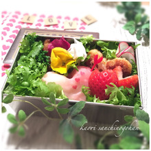 kaori さんちのごはん お弁当シリーズ 生ハムおにぎり