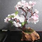 とっても綺麗な桜のミニ盆栽を切り株型の植木鉢で作ってみました。