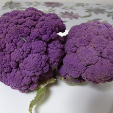 紫な・・・・カリフ、すんげえ綺麗!!