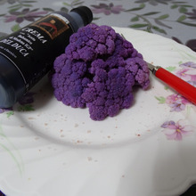 Purpleなカリフ、覚悟を決める!!