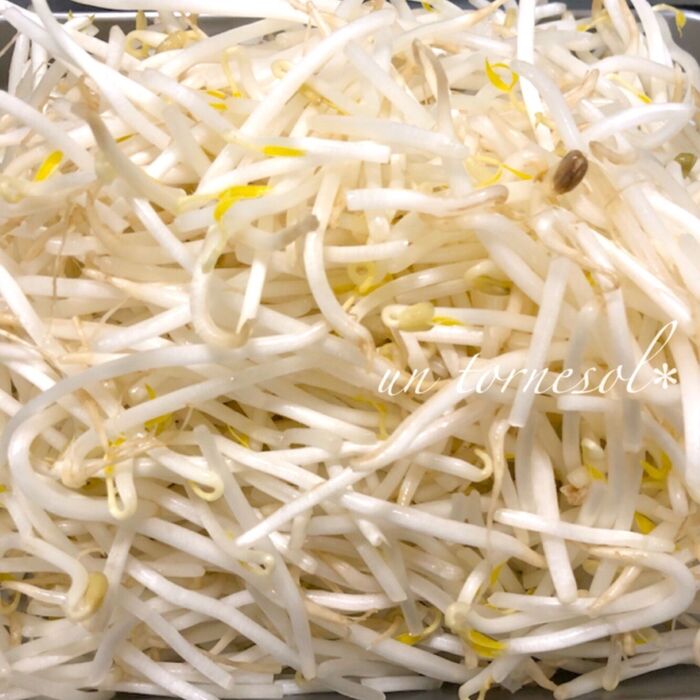 ③にんにくはお好みでたっぷりと♪
