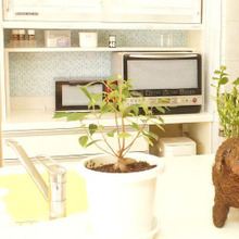 ビスなし簡単DIYで収納力up!コの字棚でデッドスペース有効活用