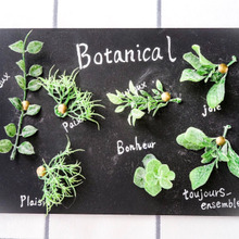 材料費200円で!!100均グッズで簡単!ボタニカルボード