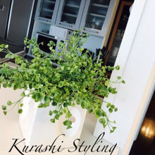 フェイクグリーンと生花を気軽に楽しむ我が家のリビング