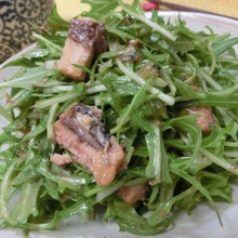 魚缶とまぜるだけ♪ 柚子胡椒をきかせた水菜といわしのサラダ