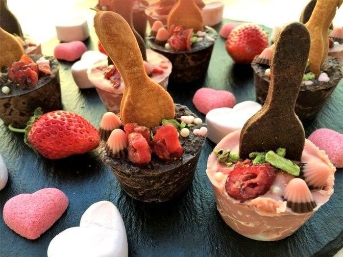 フォークもぜ~んぶ食べれちゃうマシュマルチョコ
