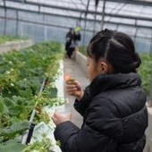 楽しい果物狩りでお子さんの五感を刺激しませんか?!