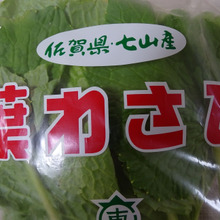 はぁ?わさび ???