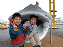 海遊館の楽しみ方、スムースに回る裏ワザ!!