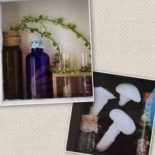 プチプラおしゃれ♡森の研究所みたいなインテリア雑貨