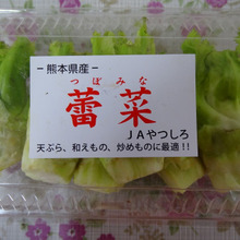 タラの芽???と思ったら・・・・蕾菜!!