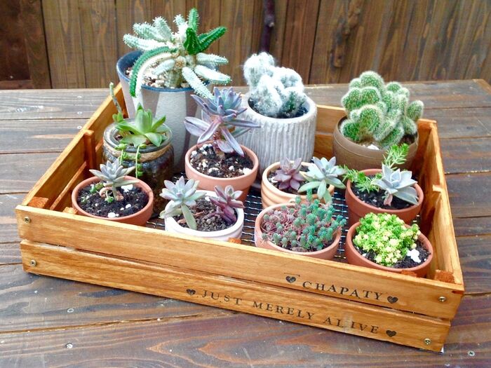 100均材料で薄型キャベツボックスDIY!飾り棚にもOK♪